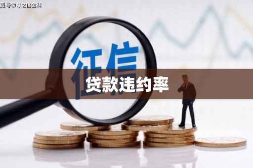 霸州贷款违约率