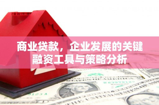 霸州商业贷款，企业发展的关键融资工具与策略分析