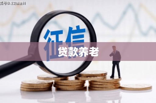 霸州贷款养老
