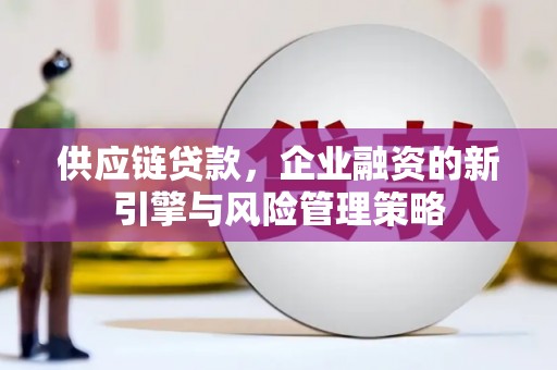 霸州供应链贷款，企业融资的新引擎与风险管理策略