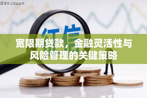 霸州宽限期贷款，金融灵活性与风险管理的关键策略