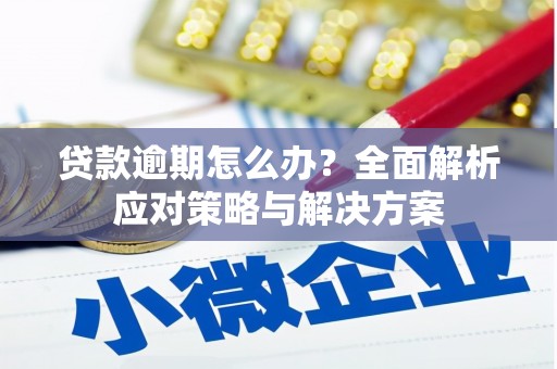 霸州贷款逾期怎么办？全面解析应对策略与解决方案