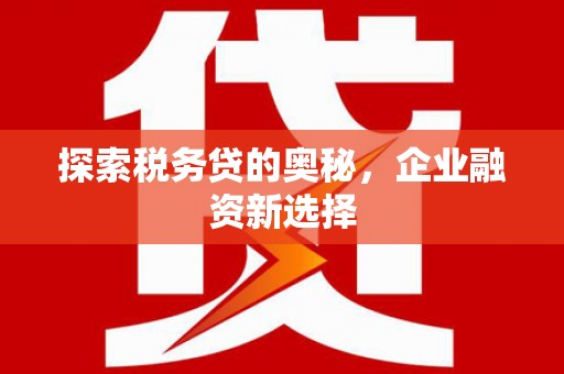 霸州探索税务贷的奥秘，企业融资新选择