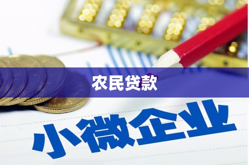 霸州农民贷款