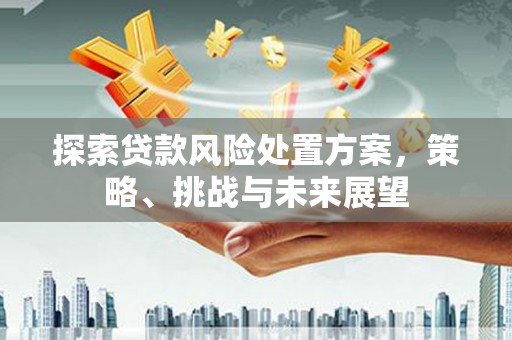 霸州探索贷款风险处置方案，策略、挑战与未来展望