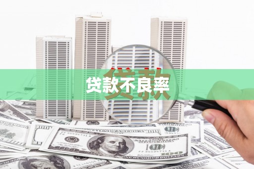 霸州贷款不良率