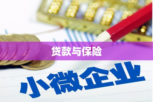霸州贷款与保险