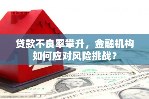 霸州贷款不良率攀升，金融机构如何应对风险挑战？