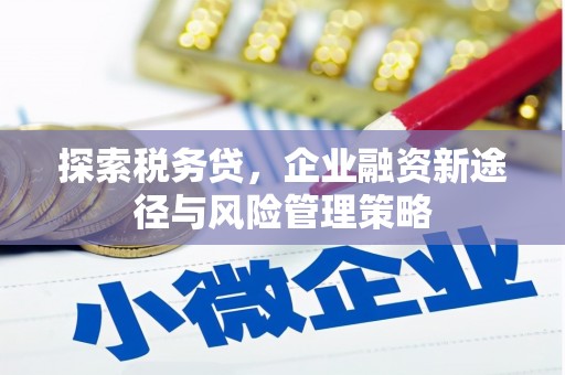 霸州探索税务贷，企业融资新途径与风险管理策略