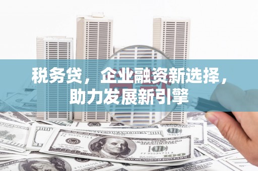 霸州税务贷，企业融资新选择，助力发展新引擎