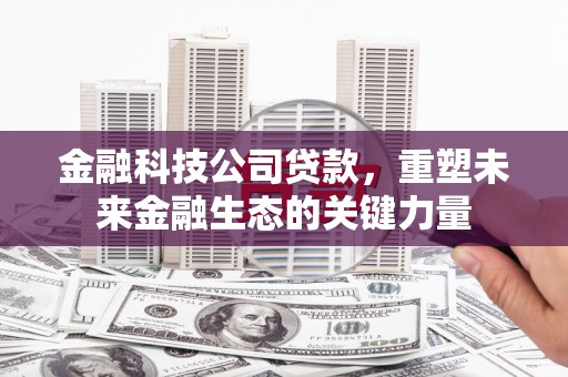霸州金融科技公司贷款，重塑未来金融生态的关键力量