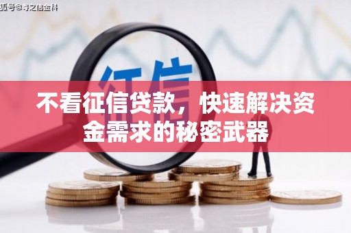 霸州不看征信贷款，快速解决资金需求的秘密武器