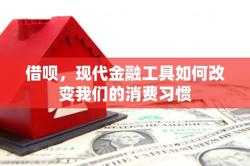 霸州借呗，现代金融工具如何改变我们的消费习惯
