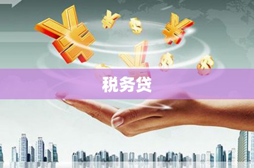 霸州税务贷