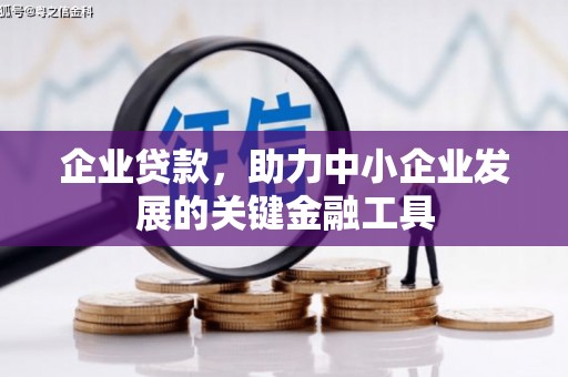 霸州企业贷款，助力中小企业发展的关键金融工具
