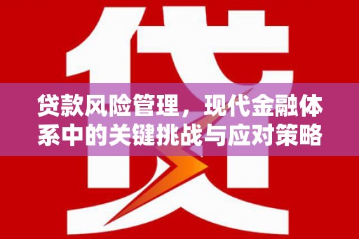 霸州贷款风险管理，现代金融体系中的关键挑战与应对策略