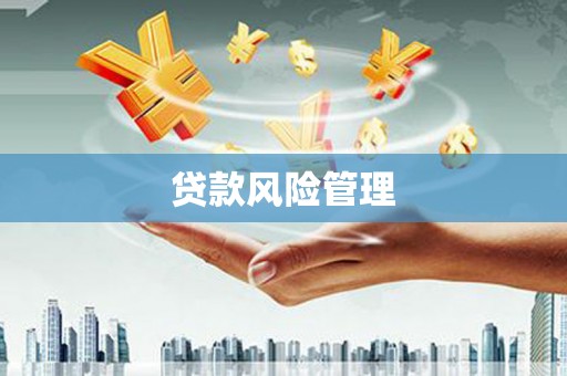 霸州贷款风险管理