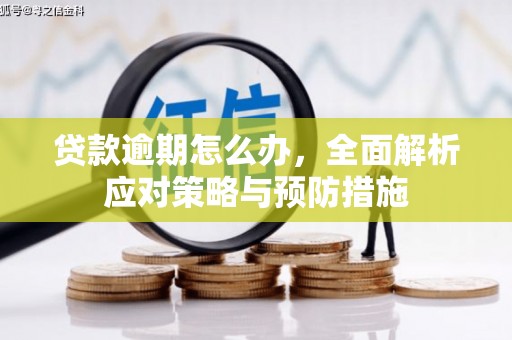 霸州贷款逾期怎么办，全面解析应对策略与预防措施