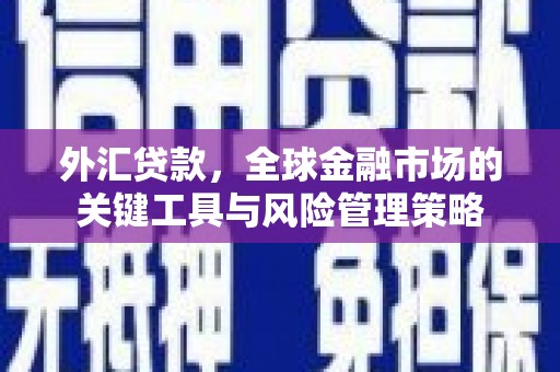 霸州外汇贷款，全球金融市场的关键工具与风险管理策略