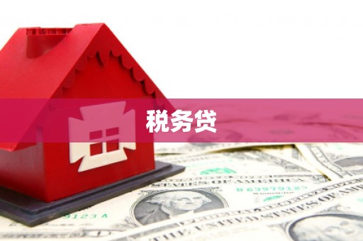 霸州税务贷
