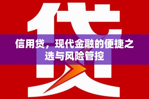 霸州信用贷，现代金融的便捷之选与风险管控