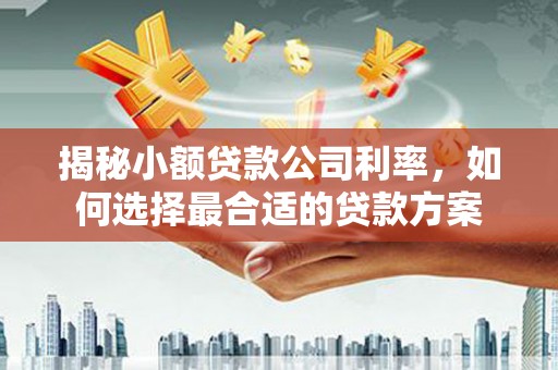 霸州揭秘小额贷款公司利率，如何选择最合适的贷款方案