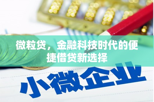 霸州微粒贷，金融科技时代的便捷借贷新选择