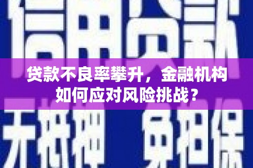 霸州贷款不良率攀升，金融机构如何应对风险挑战？