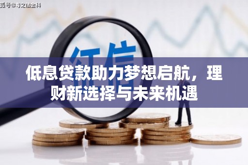霸州低息贷款助力梦想启航，理财新选择与未来机遇